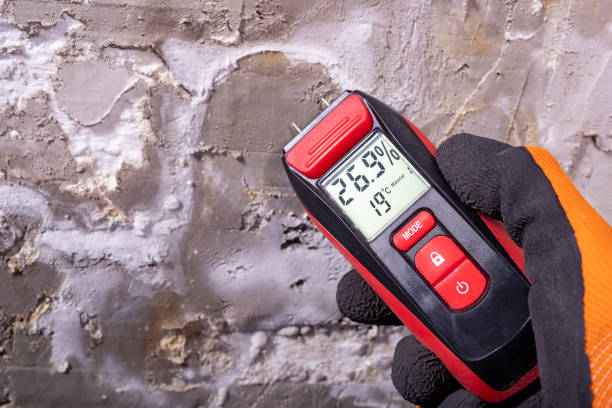 Best Post-Flood Mold Remediation in Rome, GA